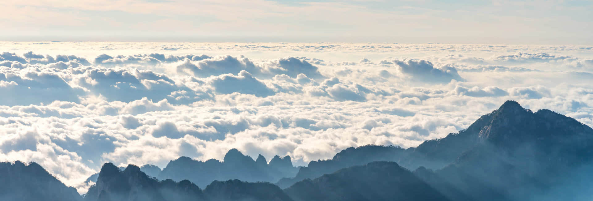 大发（中国）简介